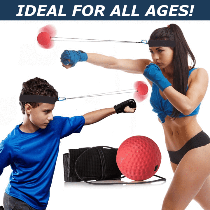 Boxing Reflex Ball