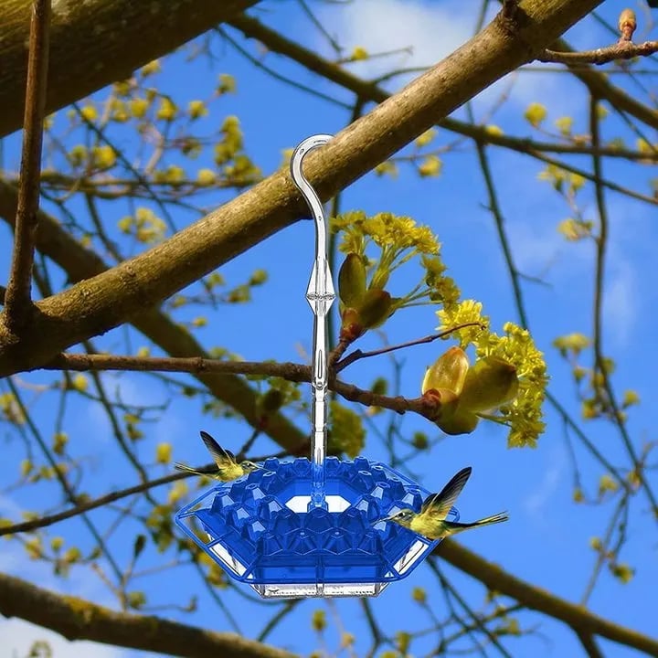 🔥MARY'S HUMMINGBIRD FEEDER WITH PERCH
